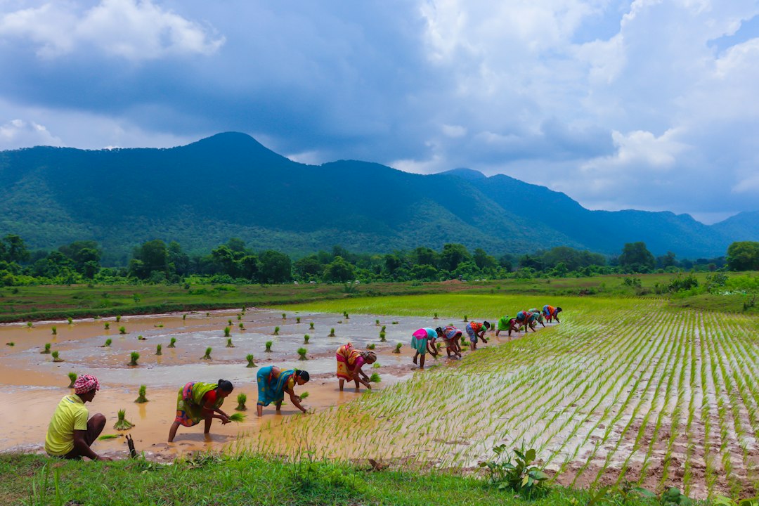 Sustainable Farming in Gujarat