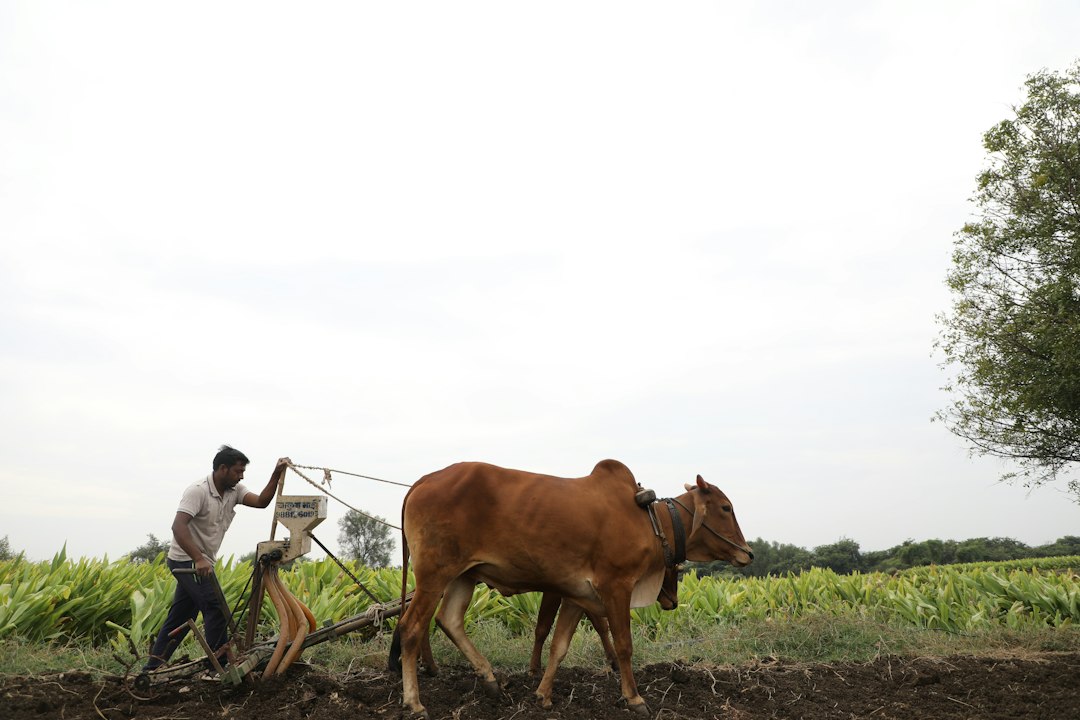 Dairy and farm resource integration