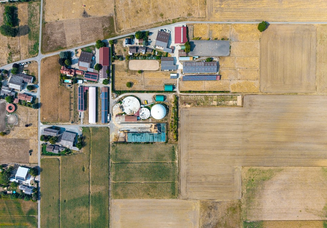 Circular Bioenergy and Digestion